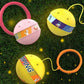 🔥50% RABATT NU! 🎾Glödande studsande boll – rolig för hundar och barn ✨